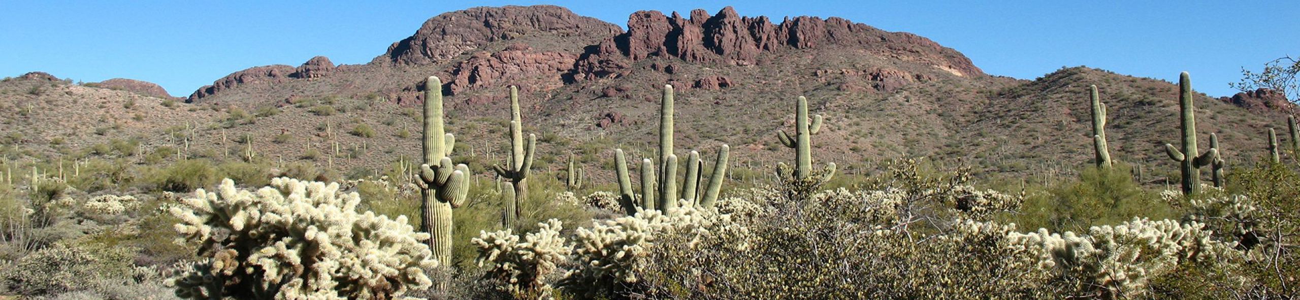 WeDoBooks of Wickenburg, Arizona Privacy Policy